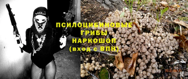 синтетический гашиш Богородицк