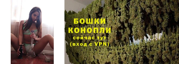 героин Богданович