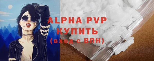 a pvp Бородино