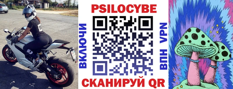 Галлюциногенные грибы мицелий  Купить закладки  Козельск 